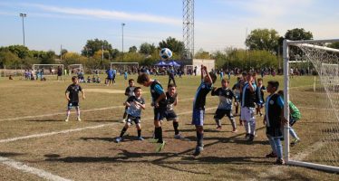 Malena Galmarini: “Queremos recuperar los polideportivos y construir más para todos los barrios de Tigre”