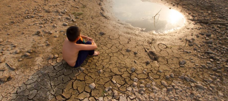 Ecoansiedad: cómo el temor a una catástrofe ambiental repercute en la salud mental