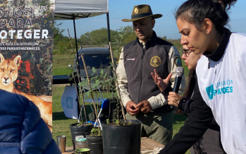 Eco Feria en el Parque Nacional Ciervo de los Pantanos