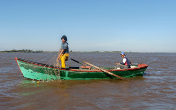 Piden un plan de conservación ante la “depredación de peces” del río Paraná