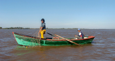 Piden un plan de conservación ante la “depredación de peces” del río Paraná