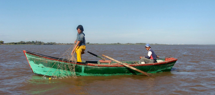 Piden un plan de conservación ante la “depredación de peces” del río Paraná