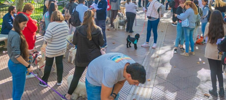 Operativos de zoonosis en San Fernando: qué barrios recorrerá esta semana