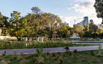 1 de noviembre: ¿Por qué se celebra el Día Mundial de la Ecología?