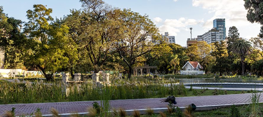 La justicia ordenó que la Ciudad de Buenos Aires sancione un código ambiental