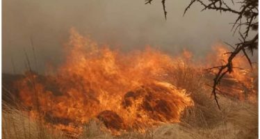 Incendios en Córdoba: ya no quedan focos activos