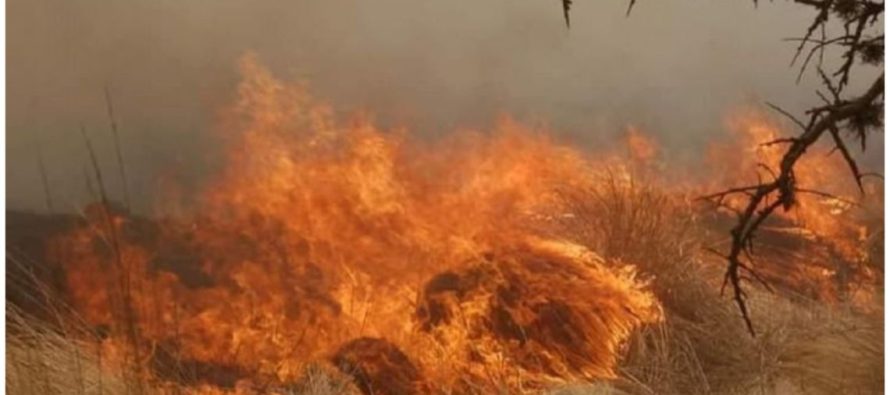 Incendios en Córdoba: ya no quedan focos activos