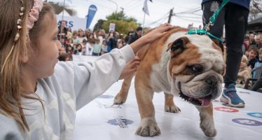 San Isidro: se acerca la “Gran Fiesta de La Horqueta”