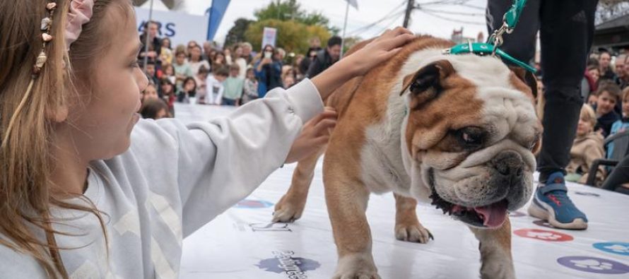 San Isidro: se acerca la “Gran Fiesta de La Horqueta”