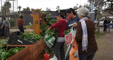 Escobar: se realizó un intercambio de alimentos en la huerta municipal