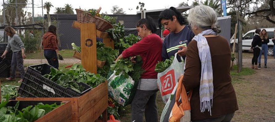 Urbanización y sector agroalimentario: ¿cómo asegurar buenos alimentos para hoy y para mañana?