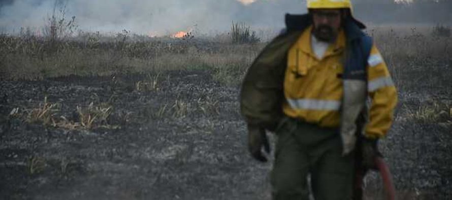 Lograron controlar el incendio en la Reserva Natural Punta Lara