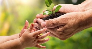 Hoy se celebra el Día Nacional de la Conciencia Ambiental