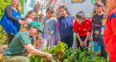 San Fernando ya lanzó una nueva temporada de semillas ‘Huerta en Casa’