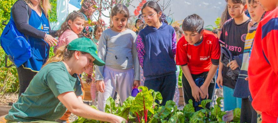 San Fernando ya lanzó una nueva temporada de semillas ‘Huerta en Casa’