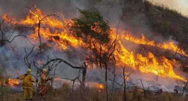 Continúa la alerta extrema por riesgo de incendios en Córdoba