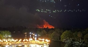 Incendios en las islas del Delta de Tigre