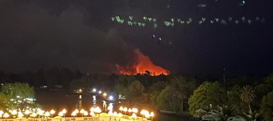 Incendios en las islas del Delta de Tigre