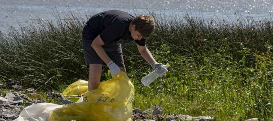 Conciencia ambiental: estudiantes limpiaron las costas de San Isidro