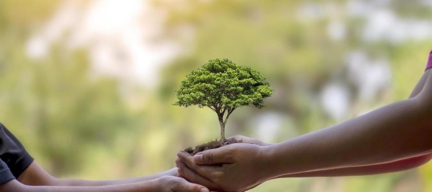 Día de Protección de la Naturaleza: ¿por qué se celebra hoy?