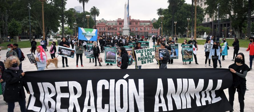 Según la ONU, El veganismo “no para de crecer” y es la alimentación más sostenible