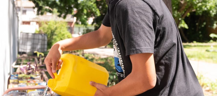 Taller de gobernanza ambiental y compostaje para estudiantes de Tigre