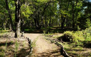 Se declaró de Interés Municipal el nuevo límite de Pilar con la Cuenca del Río Luján