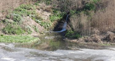 Llamado a indagatoria por contaminación ambiental del presidente de un matadero ubicado en Merlo