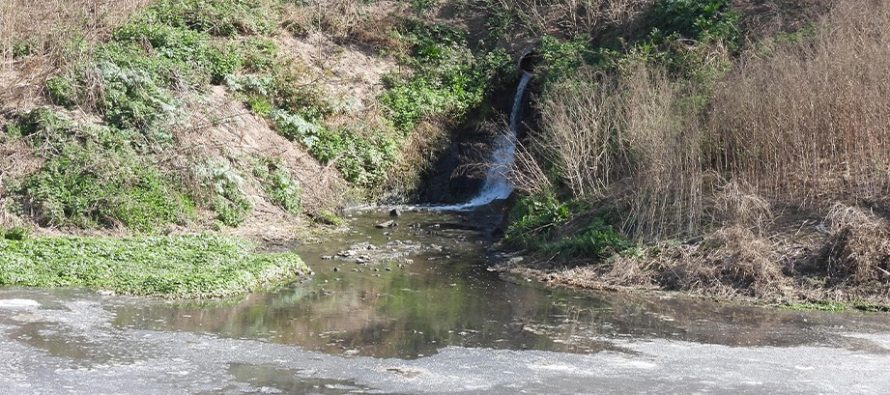 Llamado a indagatoria por contaminación ambiental del presidente de un matadero ubicado en Merlo