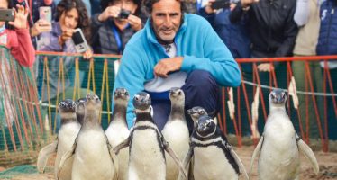 Qué hacer frente a la aparición de animales silvestres en ambientes turísticos