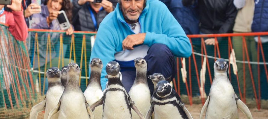 Qué hacer frente a la aparición de animales silvestres en ambientes turísticos