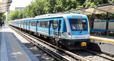 Tren Mitre y de la Costa interrumpidos por vías obstruidas con árboles y ramas caídas