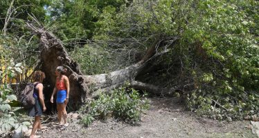 La Provincia lanzó una línea de crédito para los isleños afectados por el temporal