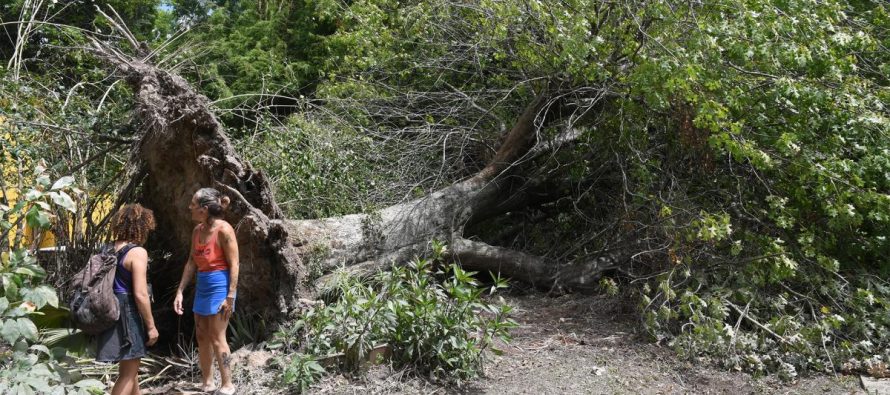 La Provincia lanzó una línea de crédito para los isleños afectados por el temporal