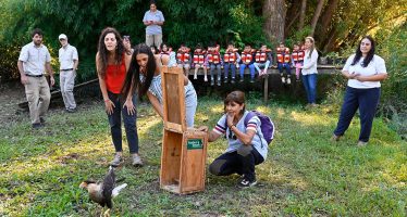 Reinsertaron especies de fauna nativa en la Reserva Municipal Carapachay en el Delta de Tigre