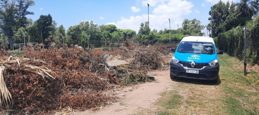 Escobar: multas por no respetar el cronograma de recolección de ramas