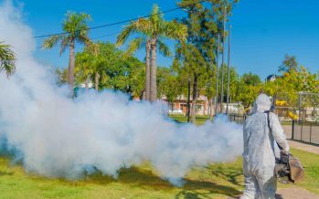 San Fernando: operativos de fumigación y prevención del dengue