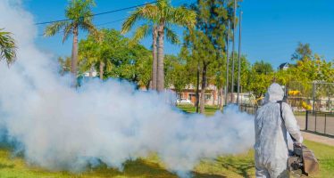 San Fernando: operativos de fumigación y prevención del dengue