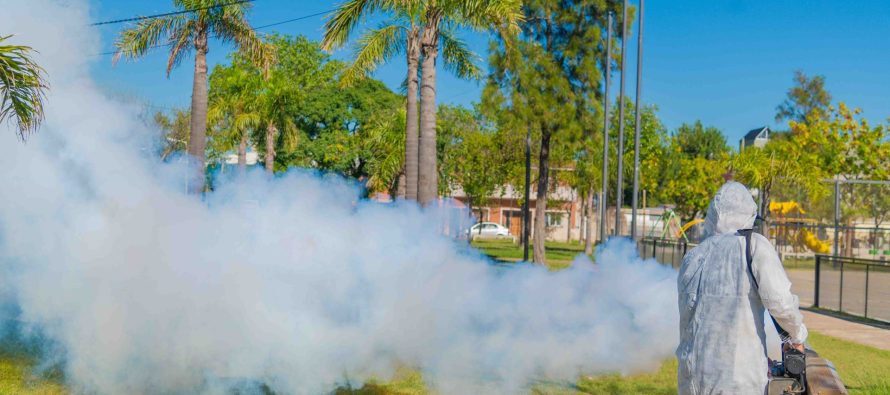 San Fernando: operativos de fumigación y prevención del dengue