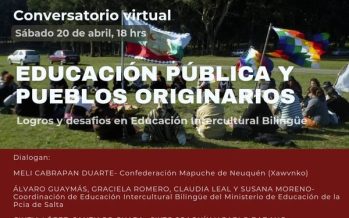 Conversatorio virtual: educación pública y Pueblos Originarios