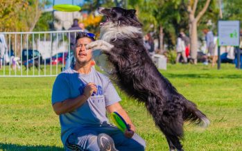 San Fernando festejó el Día del Animal en un gran evento con actividades