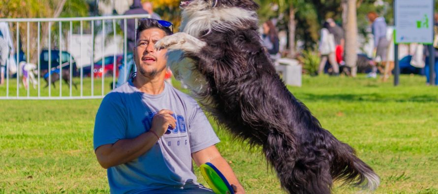 San Fernando festejó el Día del Animal en un gran evento con actividades