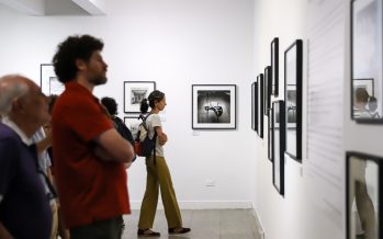 “Edenes Lindantes”, la nueva muestra de arte en la Casa de la Cultura de Vicente López