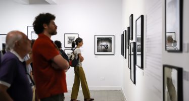 “Edenes Lindantes”, la nueva muestra de arte en la Casa de la Cultura de Vicente López