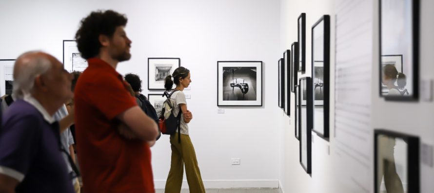 “Edenes Lindantes”, la nueva muestra de arte en la Casa de la Cultura de Vicente López