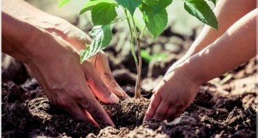 Día Internacional de la Tierra: el Comité de Cuenca del Río Reconquista lanza proyecto de educación ambiental