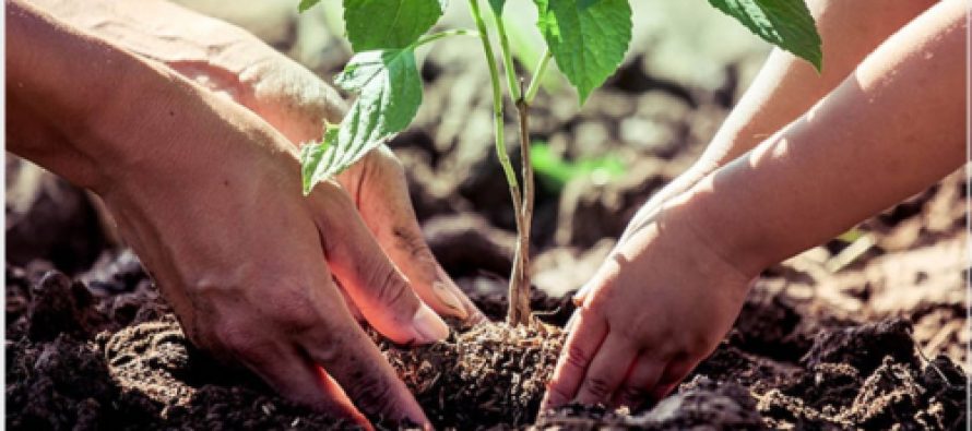 Día Internacional de la Tierra: el Comité de Cuenca del Río Reconquista lanza proyecto de educación ambiental