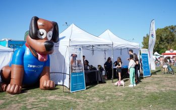 Este domingo se celebra el Día del Animal con un festival en el Paseo de la Costa de Vicente López