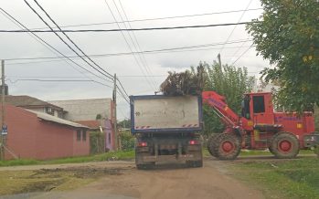 Cronograma de esta semana para la recolección de ramas en Escobar