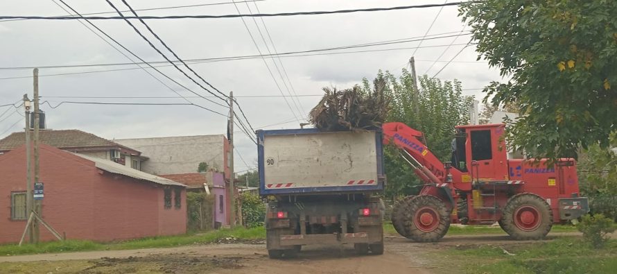 Cronograma de esta semana para la recolección de ramas en Escobar